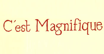 C'est magnifique © Actes Sud-Papier 1996